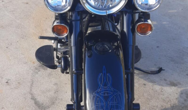 
								1978 Harley Davidson Shovelhead full									