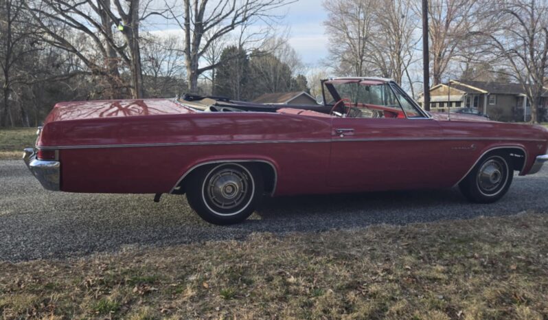 
								1966 Chevy Impala Convertible full									