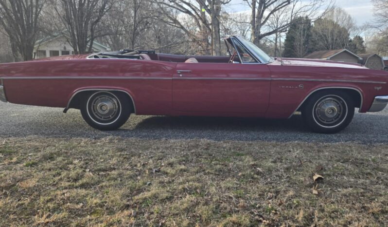 
								1966 Chevy Impala Convertible full									