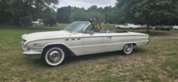
										1961 Buick LaSabre full									