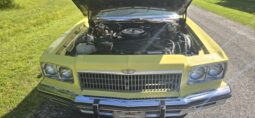 
										1975 Chevrolet Caprice Convertible full									