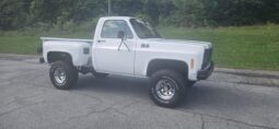 
										1979 GMC Pickup full									