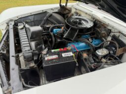 
										1960 Buick LeSabre full									