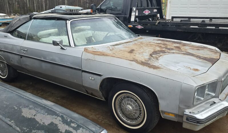 
								1975 Chevrolet Caprice full									