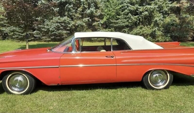 
								1959 Pontiac Convertible full									