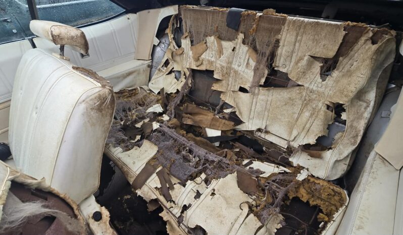 
								1975 Chevrolet Caprice full									