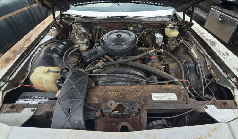 
								1975 Chevrolet Caprice full									