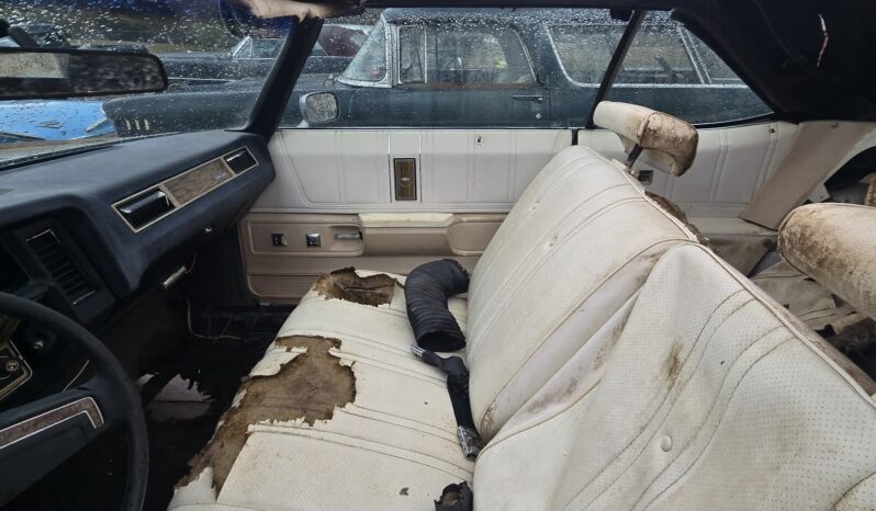 
								1975 Chevrolet Caprice full									