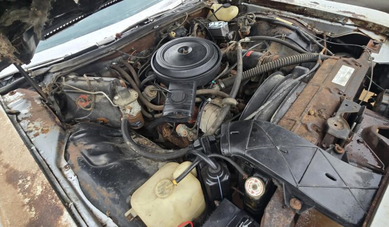 
								1975 Chevrolet Caprice full									