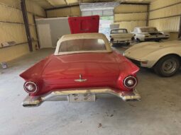 
										1957 Ford Thunderbird Convertible full									