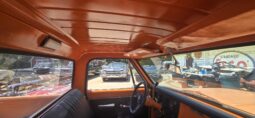 
										1969 Chevrolet c10 full									