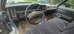 
										1973 Chevrolet Caprice full									