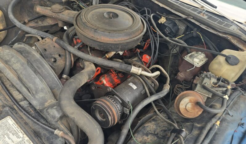 
								1973 Chevrolet Caprice full									