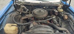 
										1973 Chevrolet Caprice full									