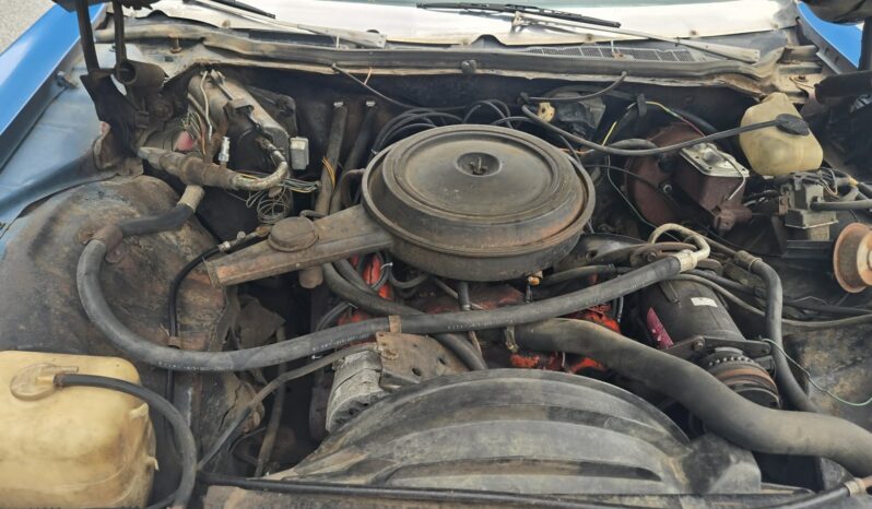 
								1973 Chevrolet Caprice full									