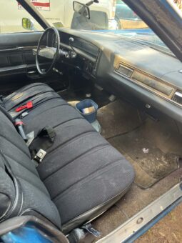 
										1973 Chevrolet Caprice full									
