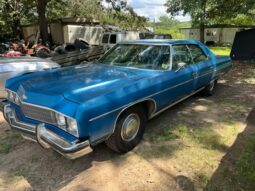 
										1973 Chevrolet Caprice full									