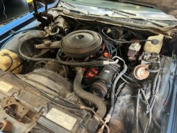 
										1973 Chevrolet Caprice full									