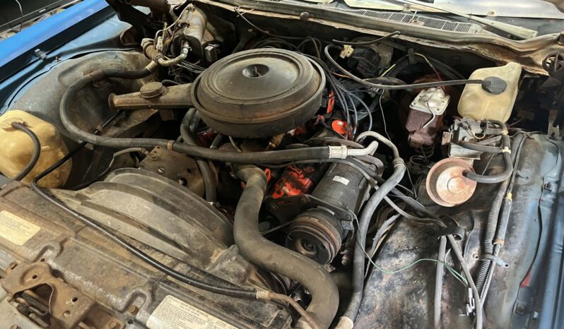 
								1973 Chevrolet Caprice full									
